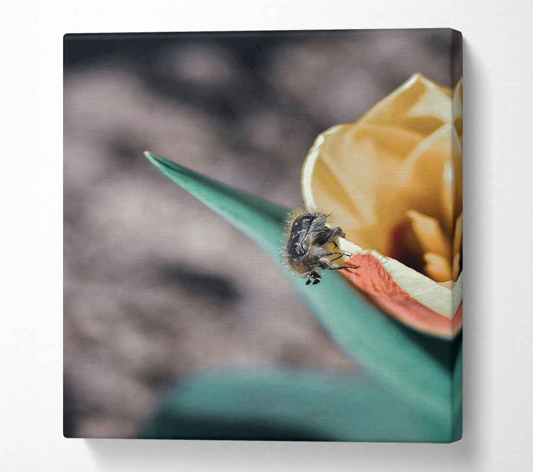  A Canvas Print of Green Petal Beetle Canvas Print