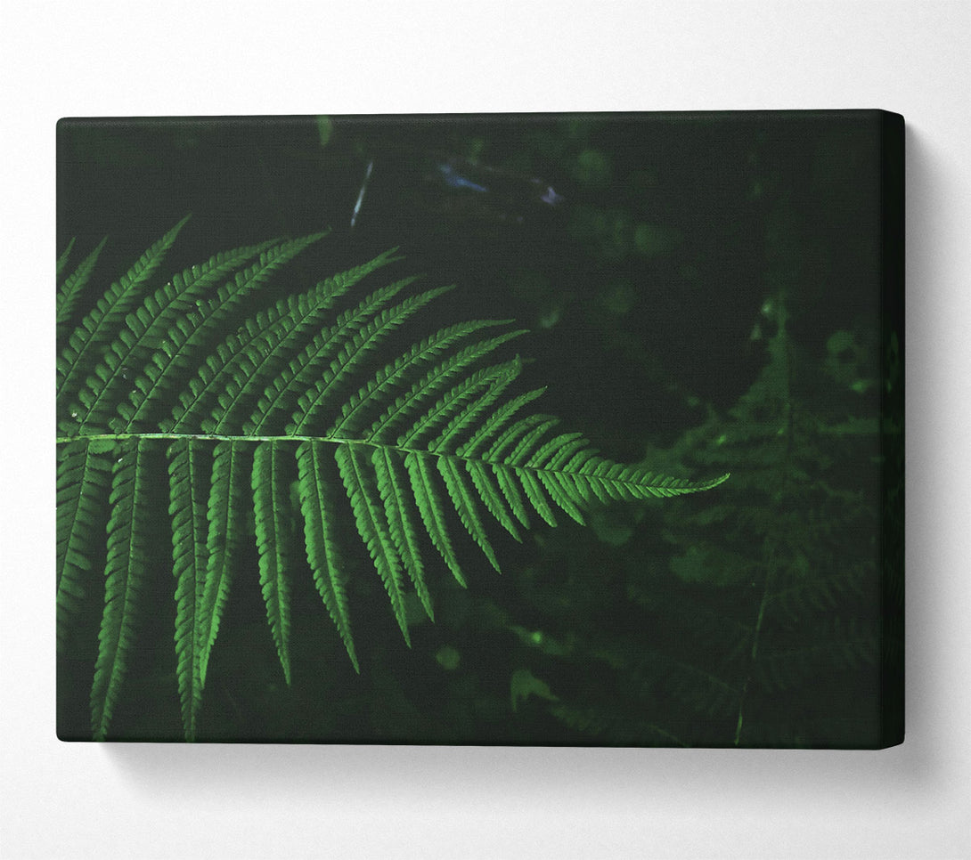  A Canvas Print of Emerald Fern Frond Canvas Wall Art