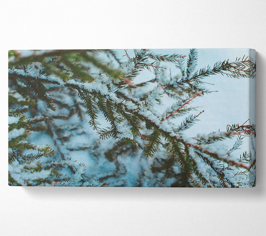  A Canvas Print of White Winter Branches Canvas Wall Art