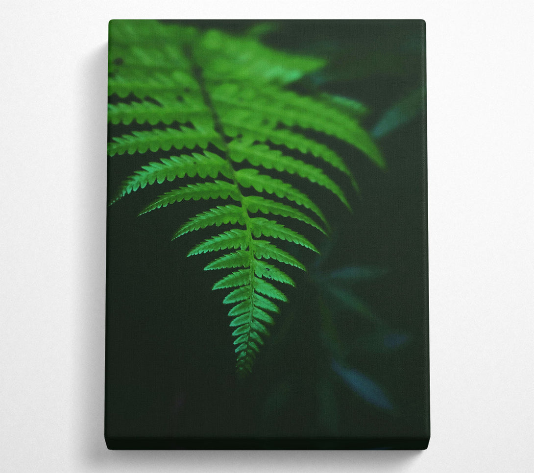  A Canvas Print of Emerald Fern Frond Canvas Wall Art