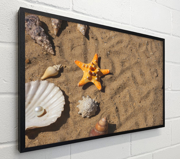 Orange Starfish Treasure