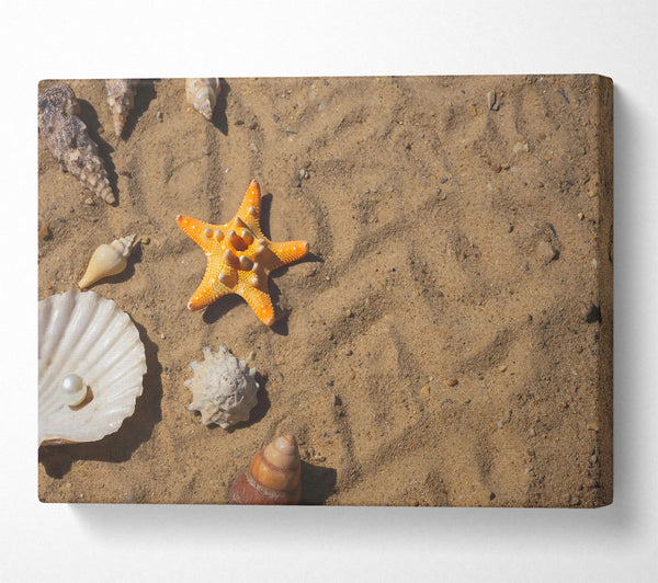 Orange Starfish Treasure Canvas Wall Art