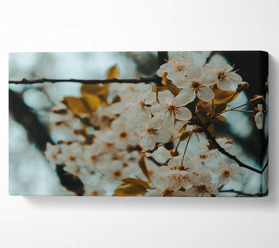  A Canvas Print of Teal Spring Blossoms Canvas Wall Art