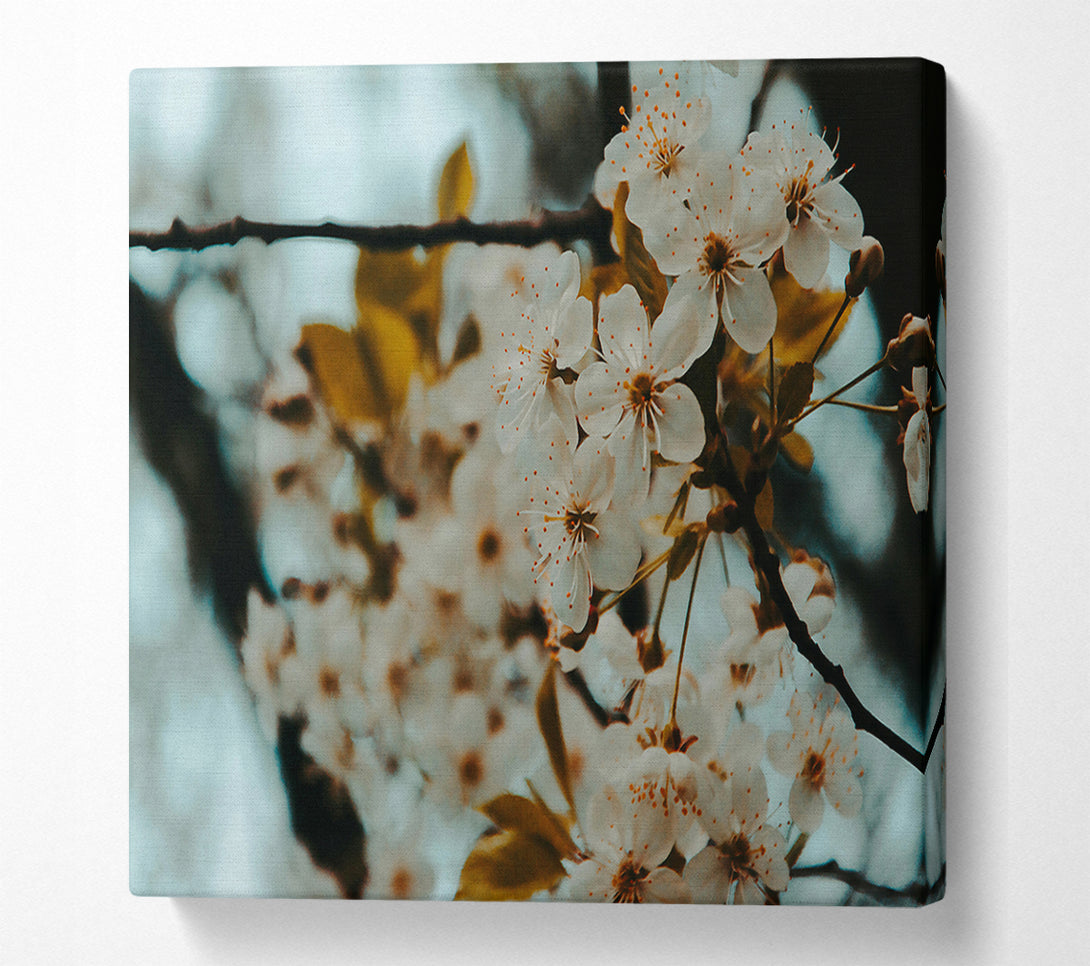  A Canvas Print of Teal Spring Blossoms Canvas Wall Art