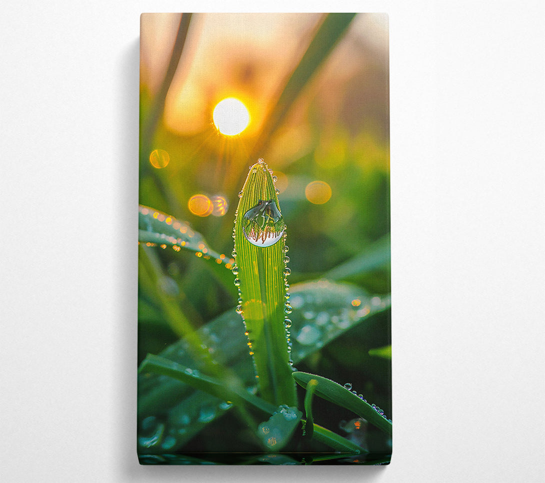  A Canvas Print of Golden Dewdrop Sunrise Canvas Wall Art
