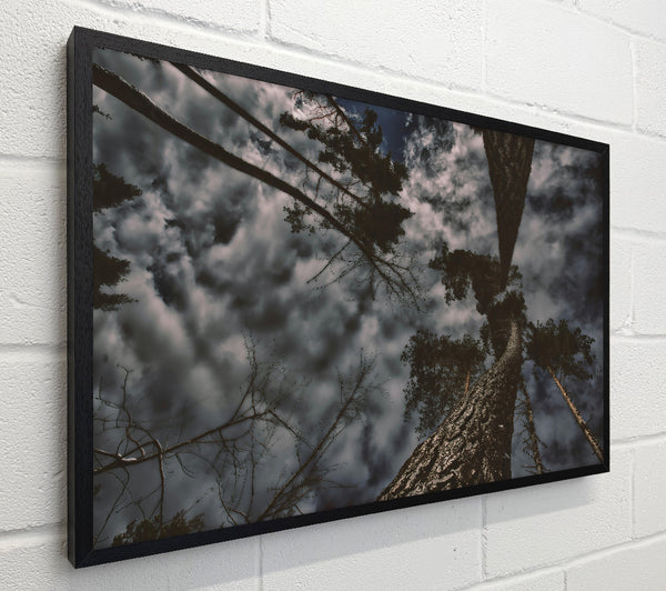 Grey Sky Canopy