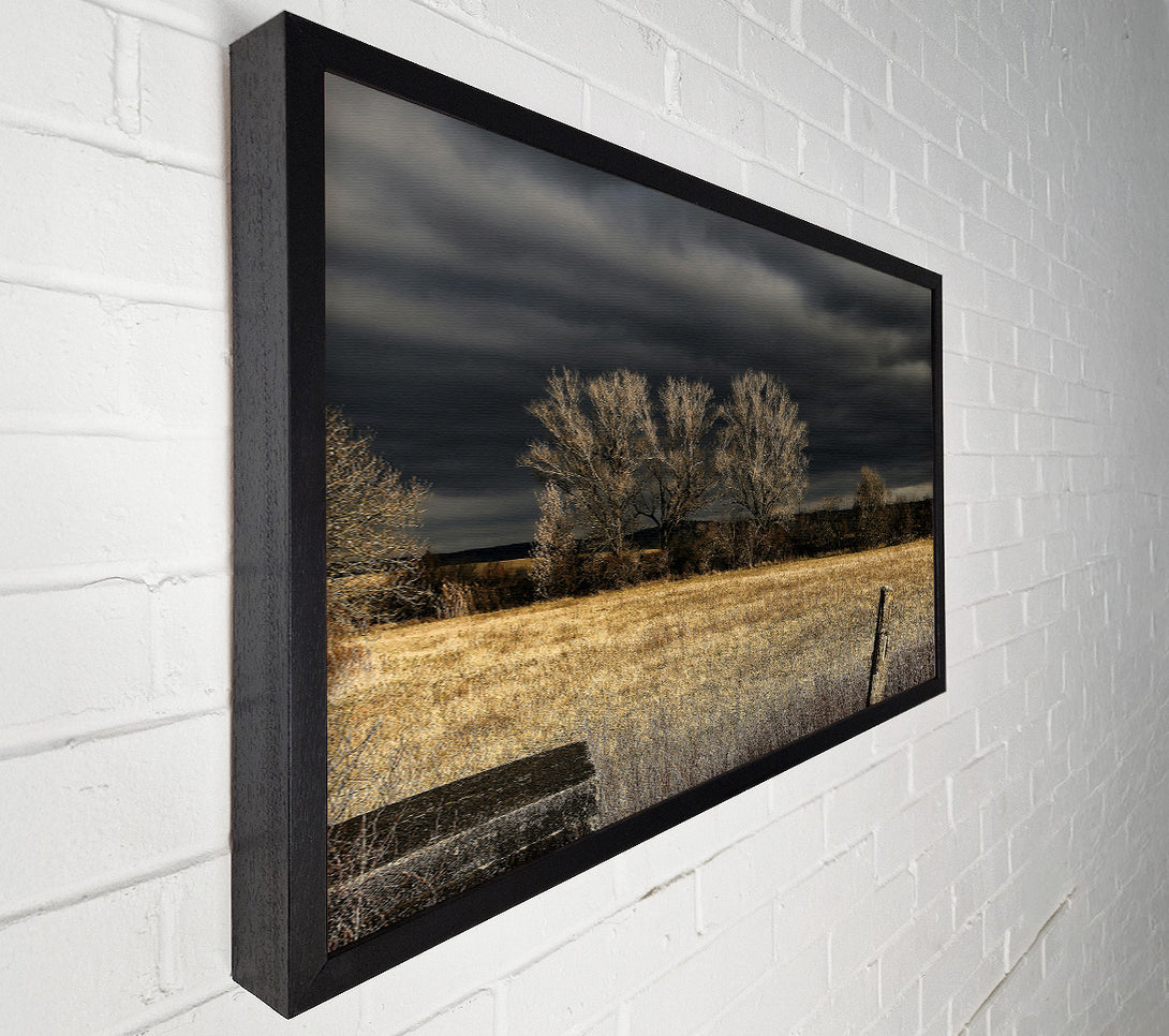  A Canvas Print of Golden Field Beneath Gloom Canvas Art