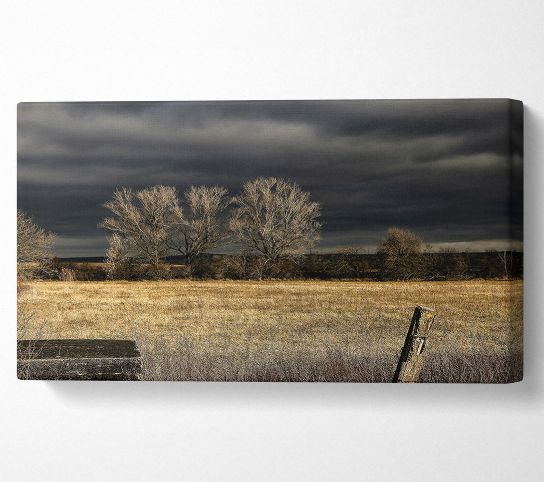 A Canvas Print of Golden Field Beneath Gloom Canvas Art