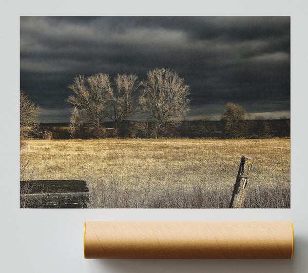 Golden Field Beneath Gloom