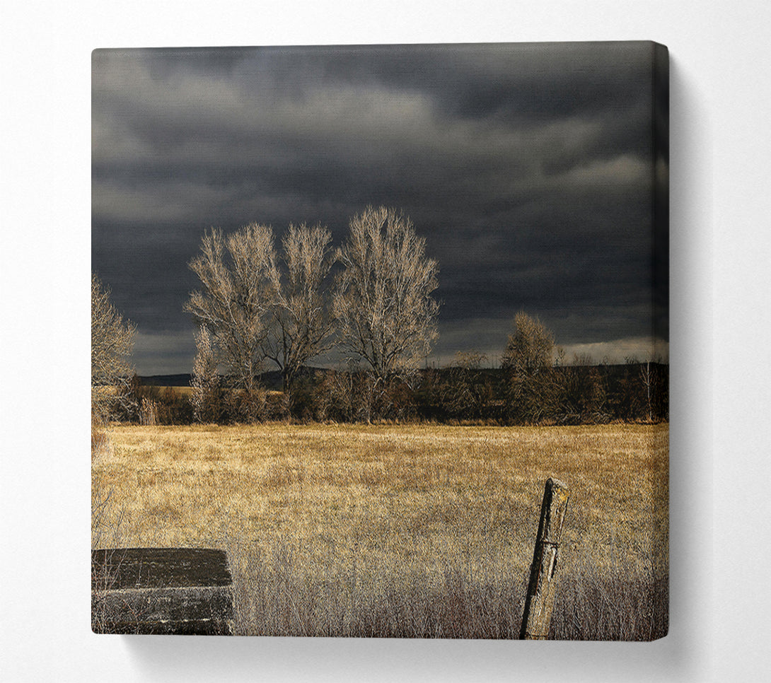  A Canvas Print of Golden Field Beneath Gloom Canvas Art