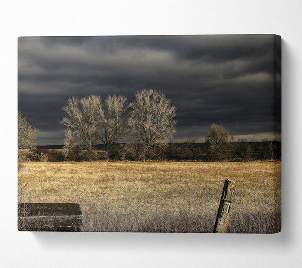  A Canvas Print of Golden Field Beneath Gloom Canvas Art