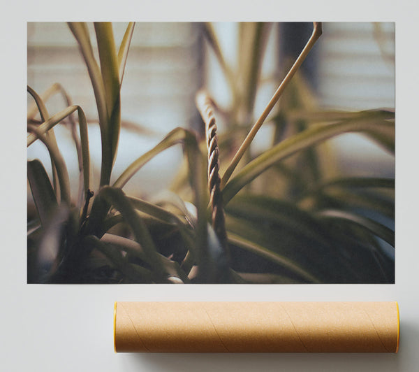 Golden Green Embrace Poster