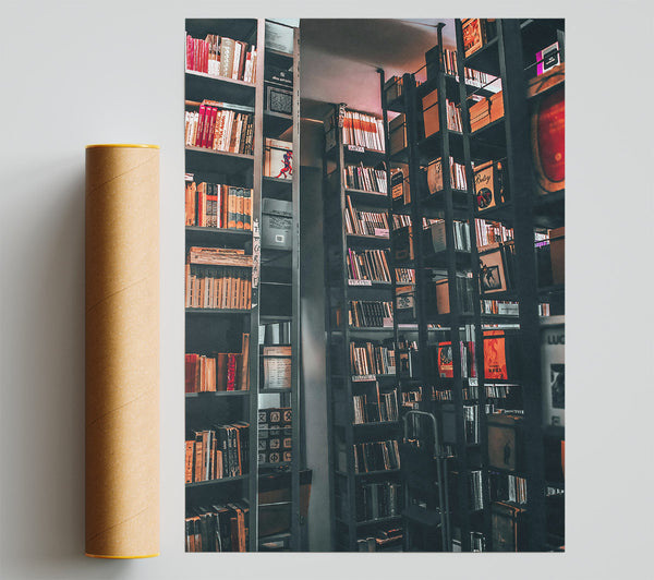 Red Bookcase Stacks Print
