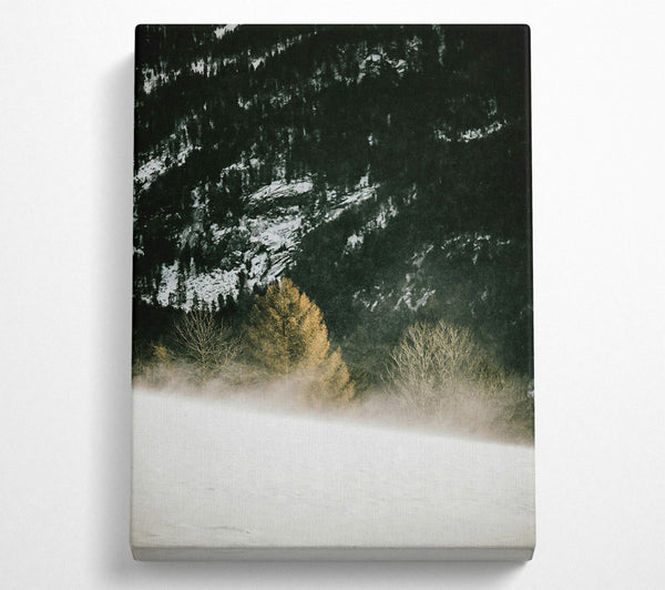  A Canvas Print of Golden Foggy Landscape Canvas Print