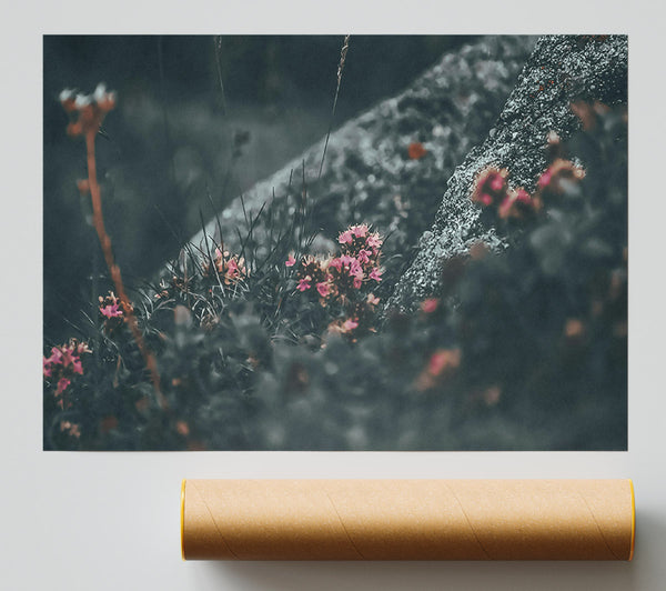 Pink Blooms In Grey Print