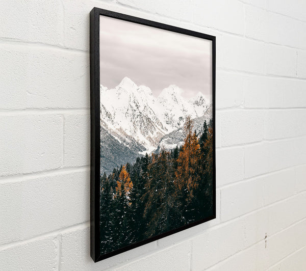 White Peaks And Amber Trees
