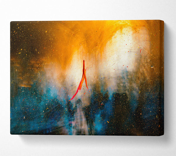 A Canvas Print of Orange Cosmic Burst Canvas Art