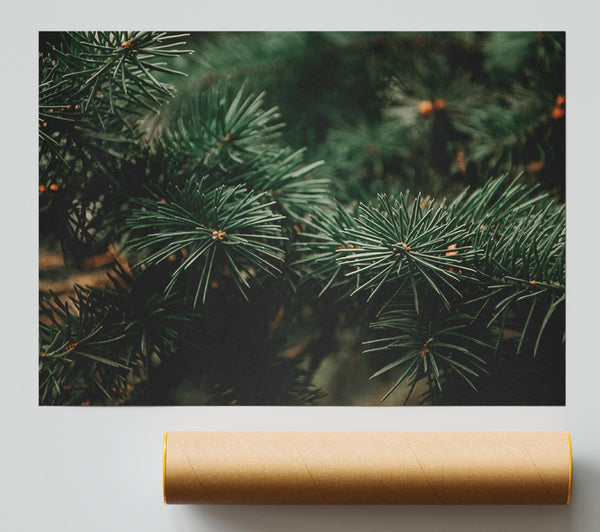 Emerald Evergreens Poster