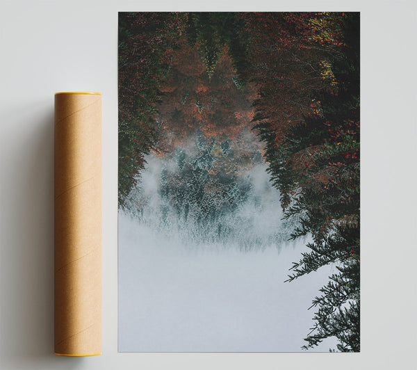 Red Leaves In Mist Print