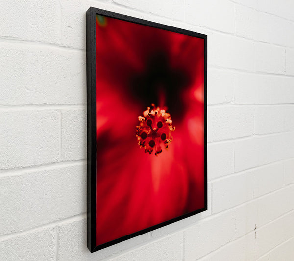 Crimson Flower Heart