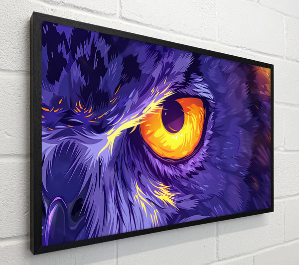 Purple Owl Gaze