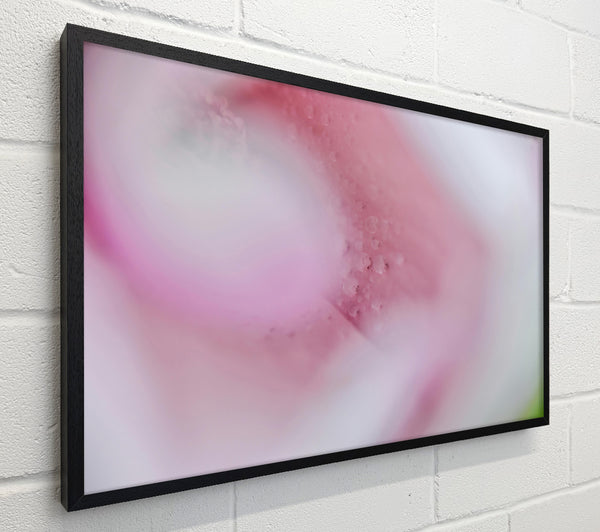 Soft Pink Embrace