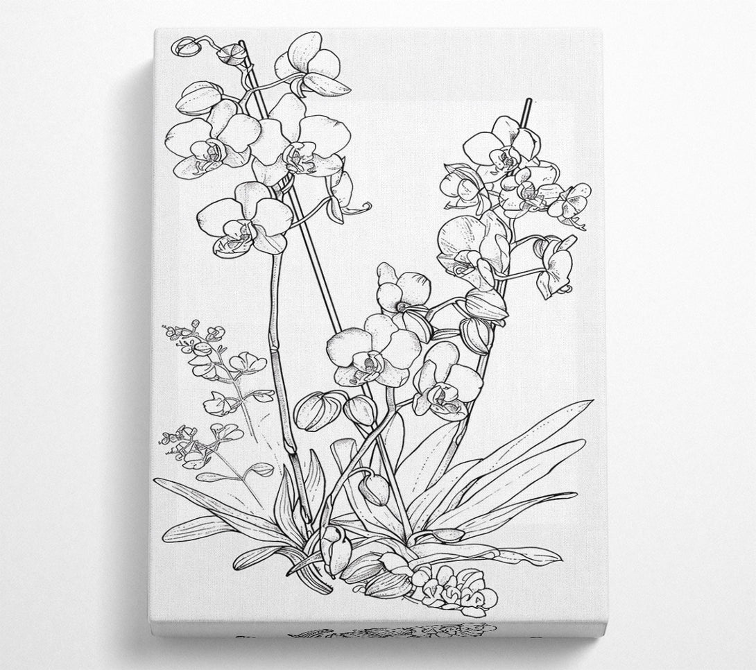  A Canvas Print of White Orchid Bloom Canvas Print