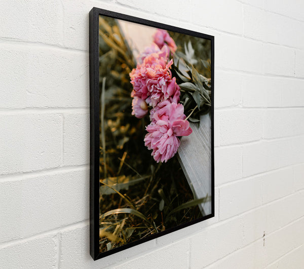 Pink Peony Sunset