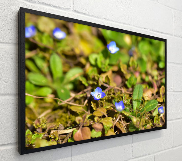 Blue Flowers In Green
