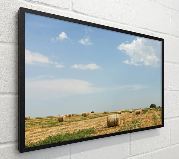 Golden Hay Bales Sky