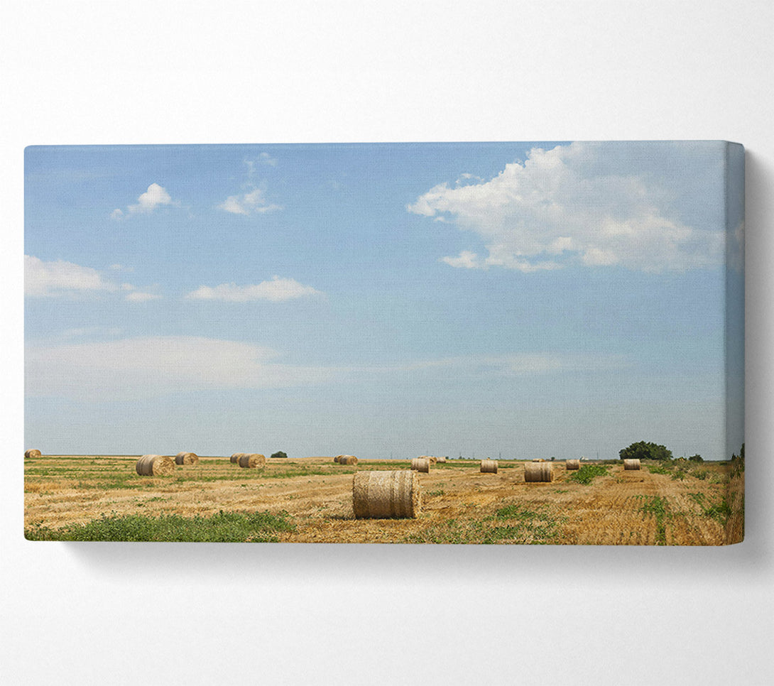  A Canvas Print of Golden Hay Bales Sky Canvas Art