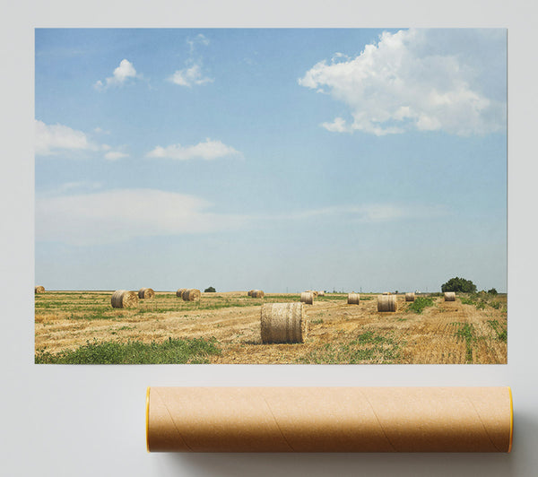 Golden Hay Bales Sky Print