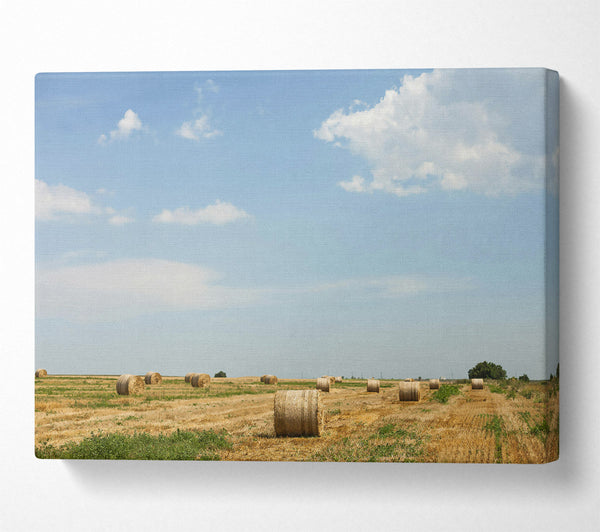  A Canvas Print of Golden Hay Bales Sky Canvas Art