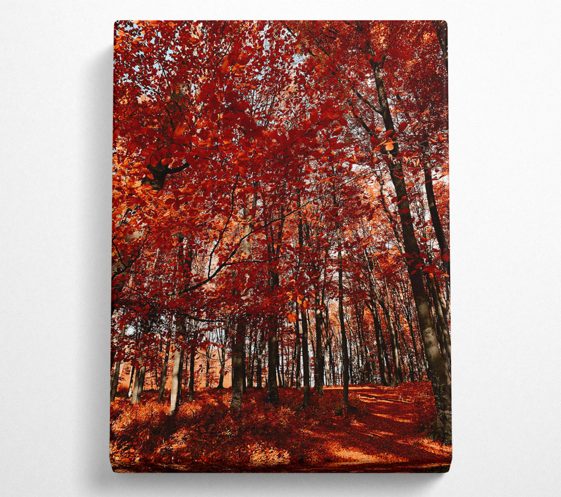  A Canvas Print of Crimson Canopy Dreams Canvas Wall Art
