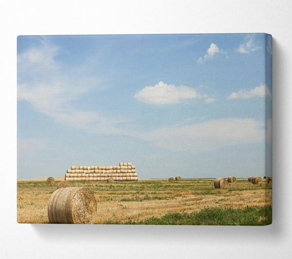  A Canvas Print of Golden Hay Stacks Canvas Art