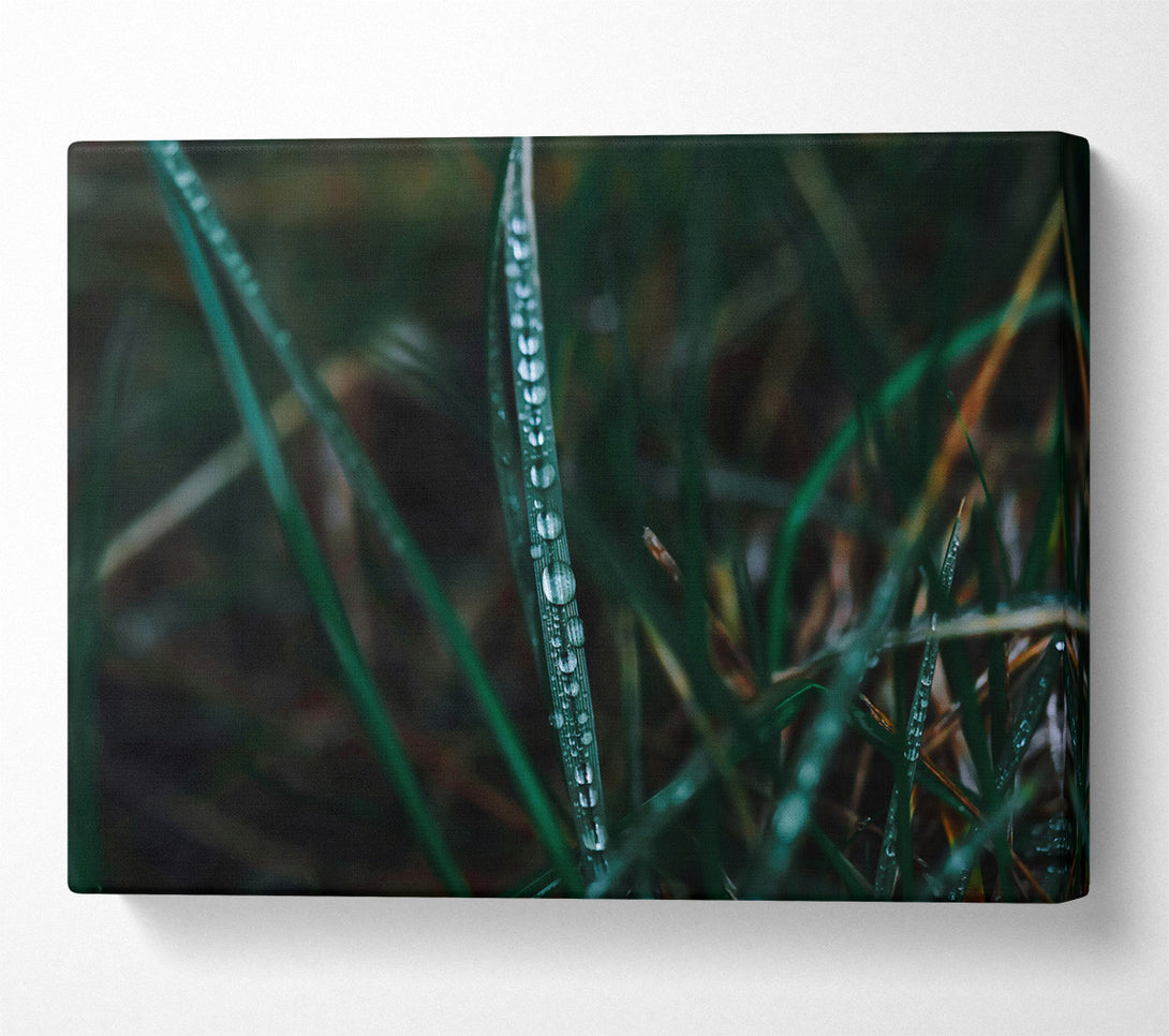  A Canvas Print of Emerald Dew Drops Canvas Wall Art