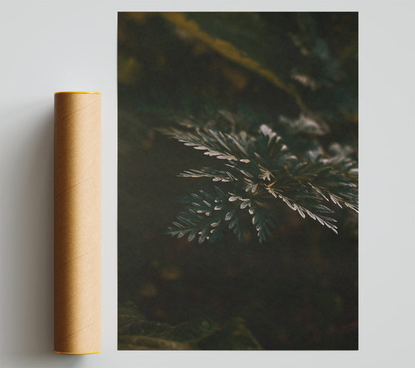 Emerald Forest Sprig Giclee Print