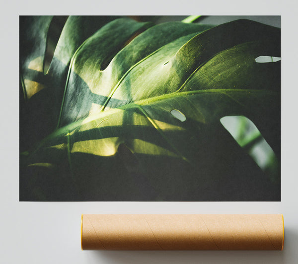 Emerald Leaf Shadows Poster