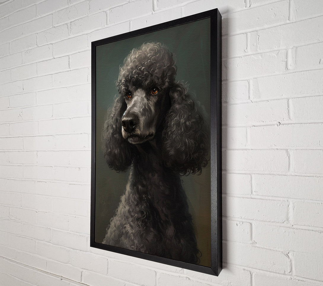  A Canvas Print of A Poodle Looking Canvas Art