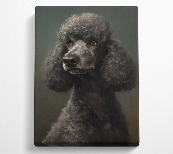  A Canvas Print of A Poodle Looking Canvas Art