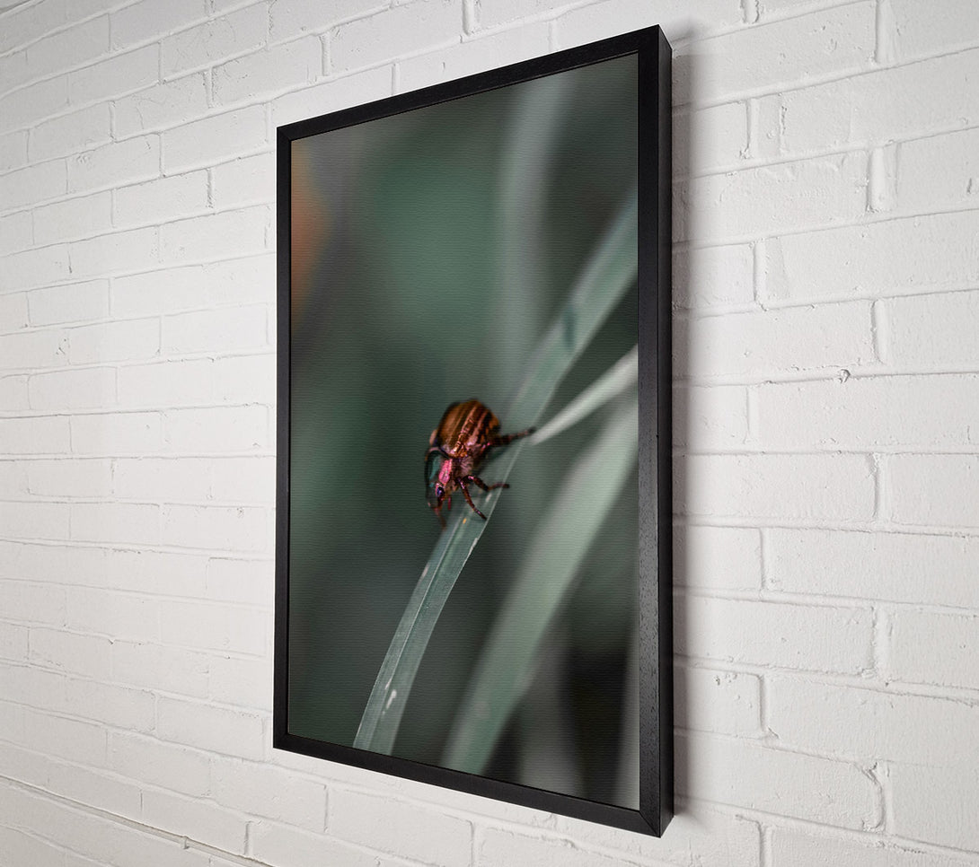  A Canvas Print of Green Beetle On Blade Canvas Wall Art