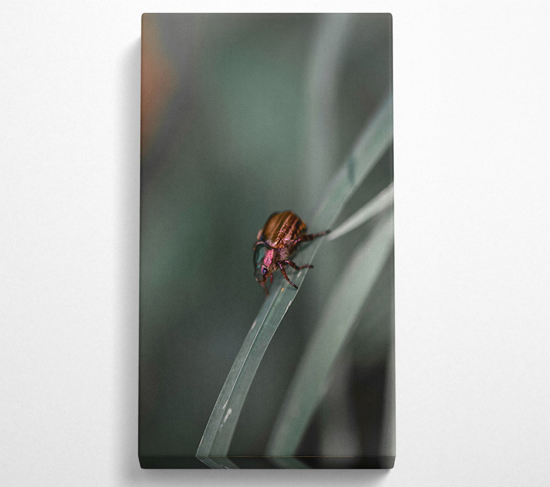  A Canvas Print of Green Beetle On Blade Canvas Wall Art