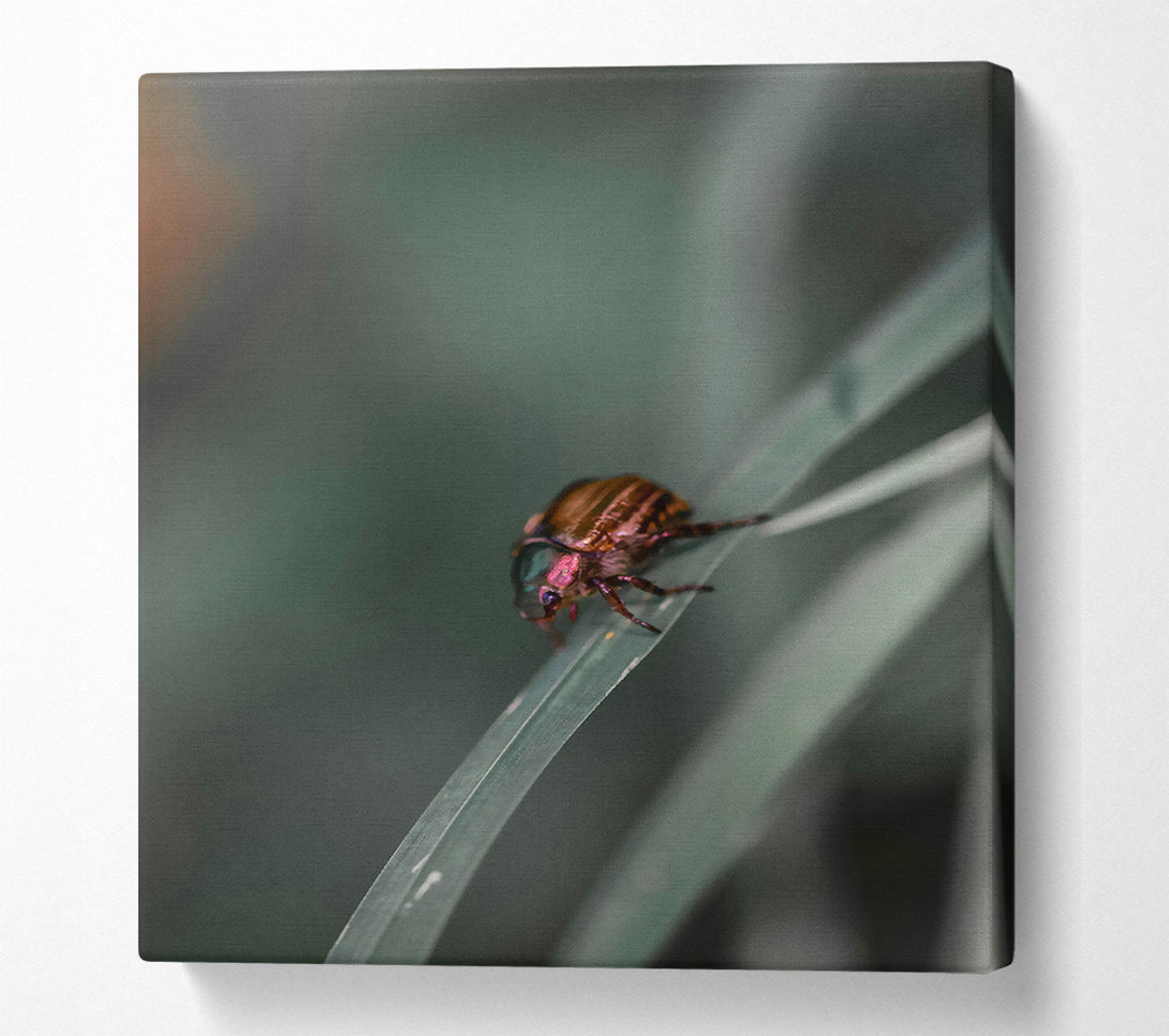  A Canvas Print of Green Beetle On Blade Canvas Wall Art