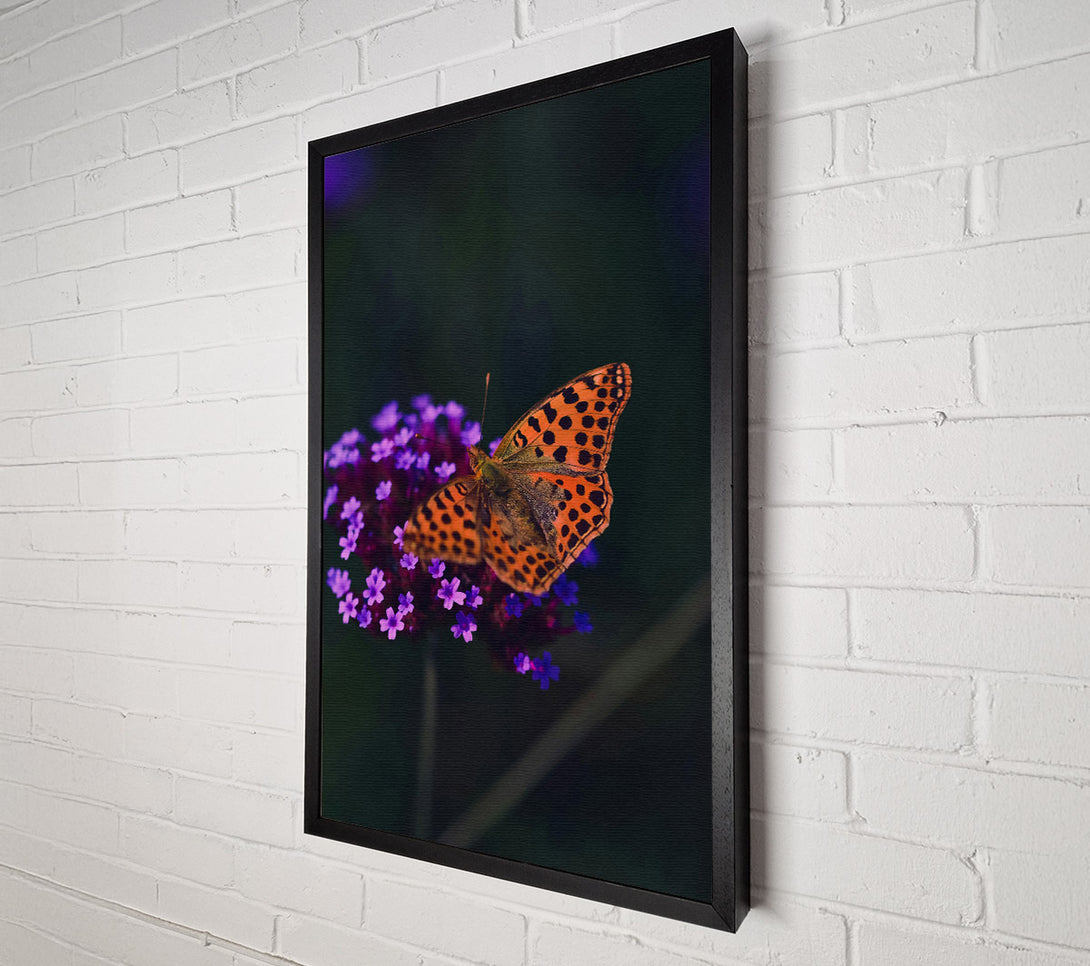  A Canvas Print of Orange Spotted Beauty Canvas Print