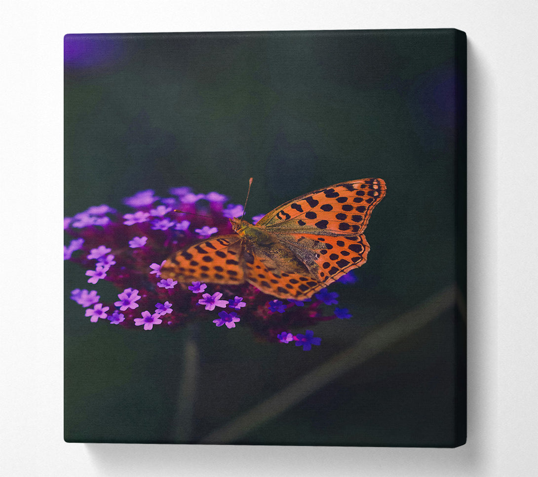  A Canvas Print of Orange Spotted Beauty Canvas Print