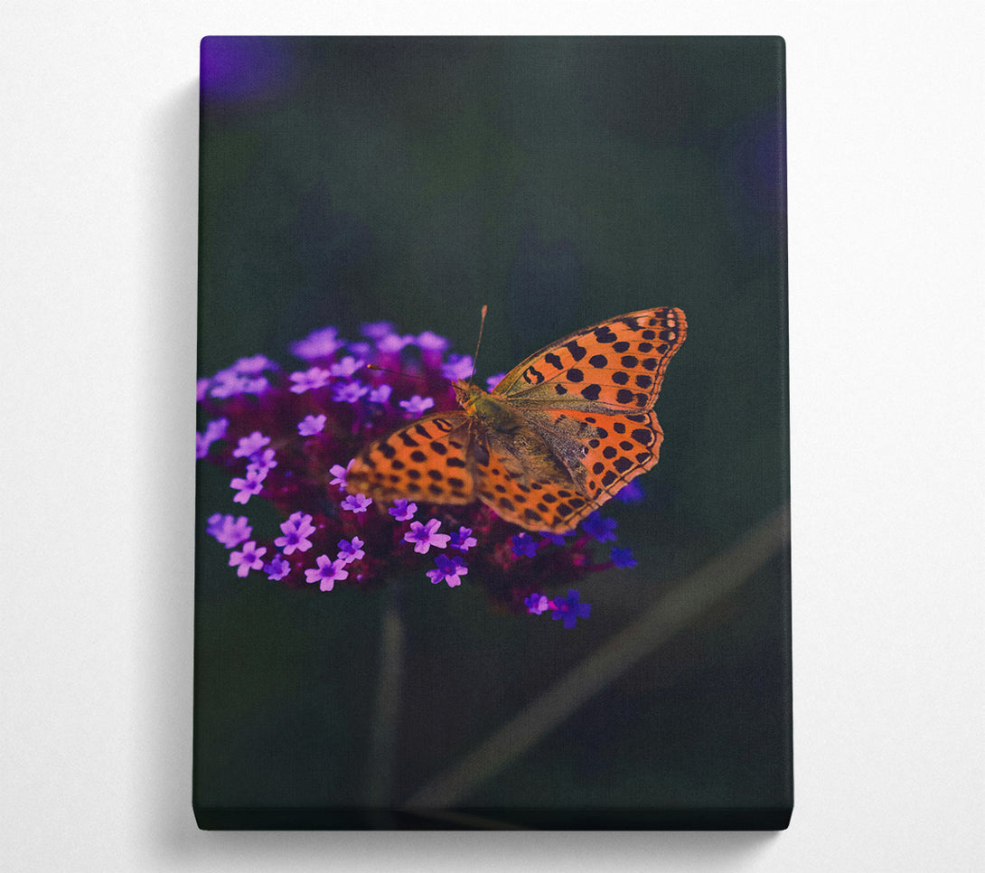 A Canvas Print of Orange Spotted Beauty Canvas Print