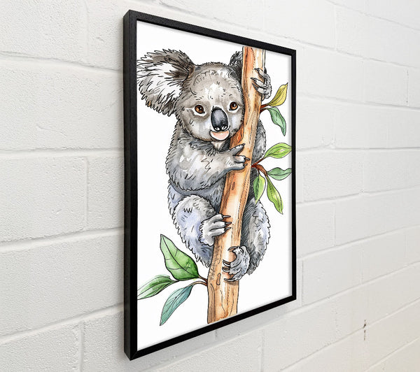 Grey Koala'S Embrace