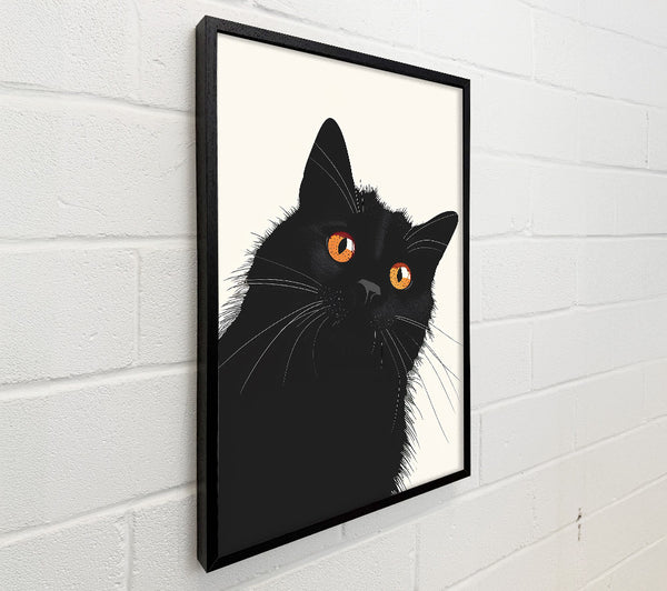 Black Cat With Amber Eyes