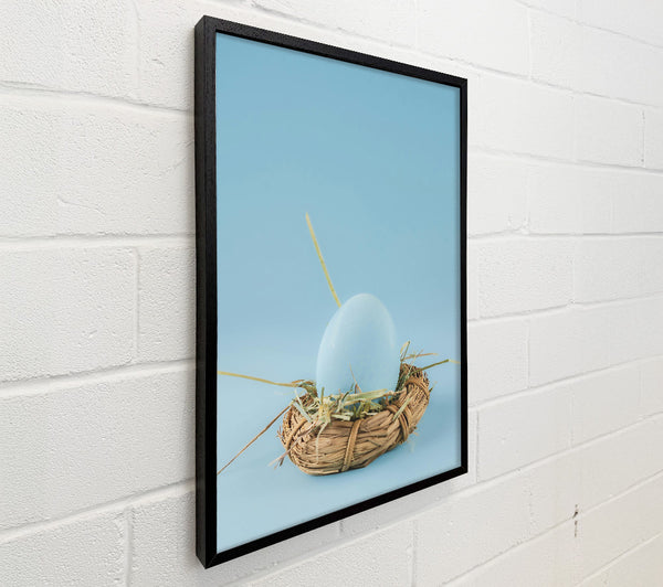 Pale Blue Nest Egg