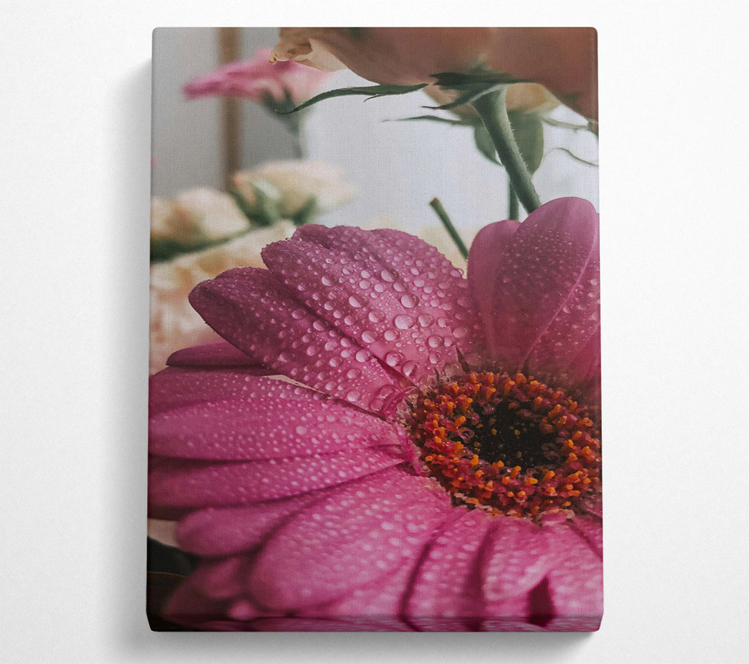  A Canvas Print of Pink Petal Dewdrops Canvas Art